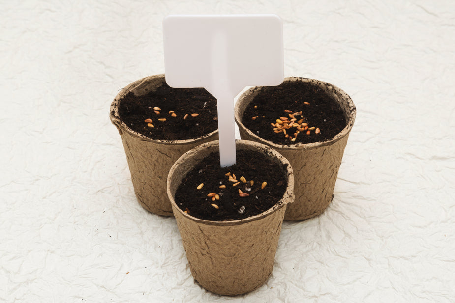 Biodegradable cardboard pots